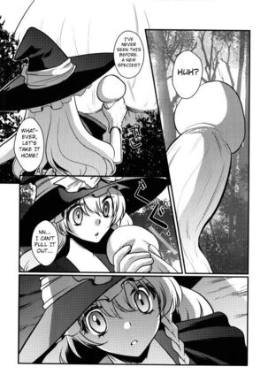 Marisa no kinoko kari