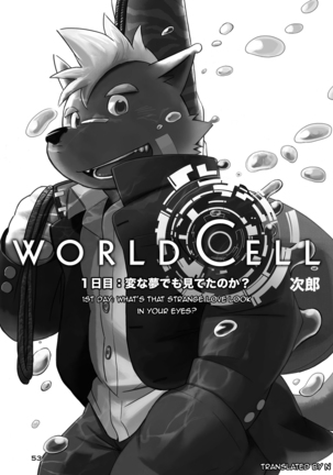 World Cell - Day 1