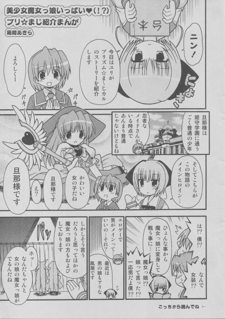 PRISM MERGICAL -PriMergi MagicalBooklet2-