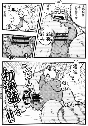 Image 4455500