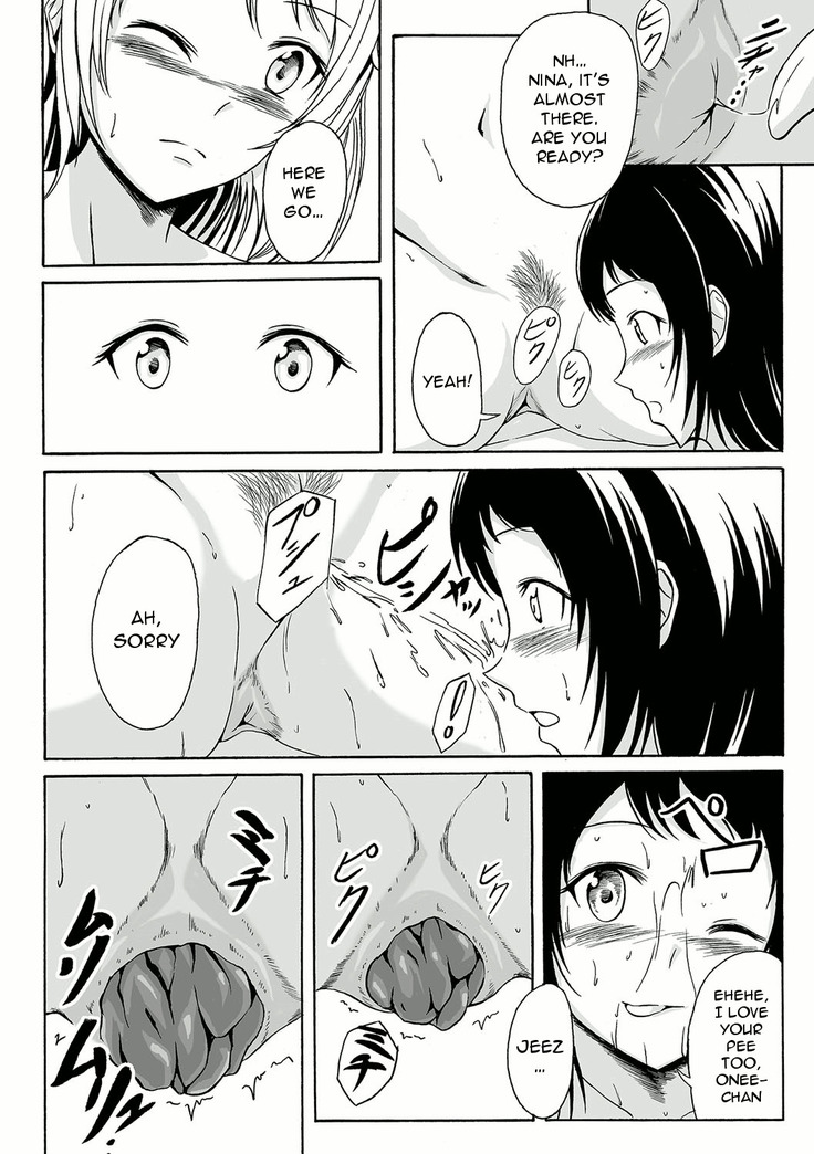 Aru Shimai Ai no Katachi | A Form of Sisterly Love