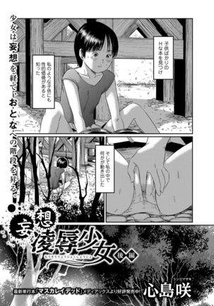 COMIC Mate Legend Vol. 15 2017-05 - Page 22