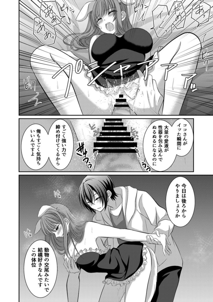 Inu system she tokosupureetchi