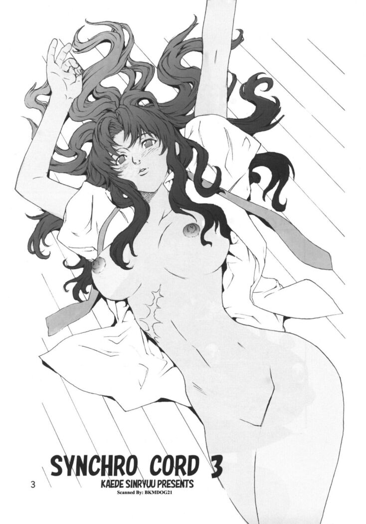 SYNCHROCORD 3