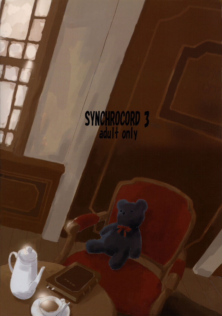 SYNCHROCORD 3