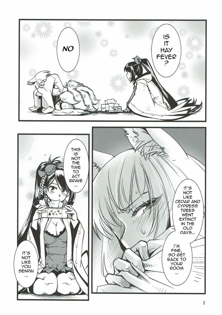 Shippori | Tail