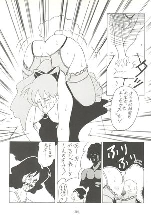 Kage no Nan Demo-R - Page 256