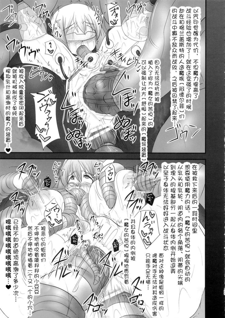 Shield Knight Elsain Vol. 18 Injuu no Jukokuin 2
