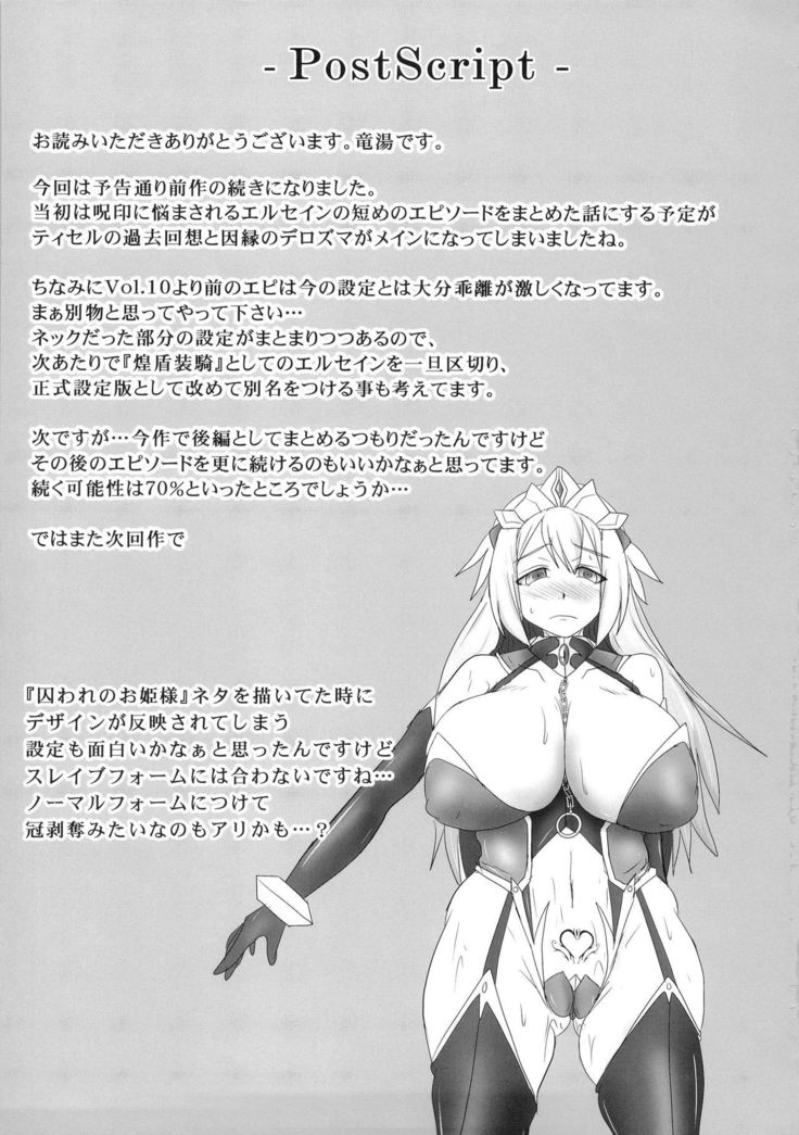 Shield Knight Elsain Vol. 18 Injuu no Jukokuin 2