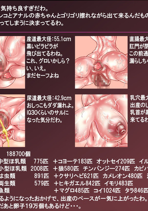 Nyia no hakobune ~ ranshi 20 man-ko o subete tsukaikiru made renzoku tairyo shussan Page #506