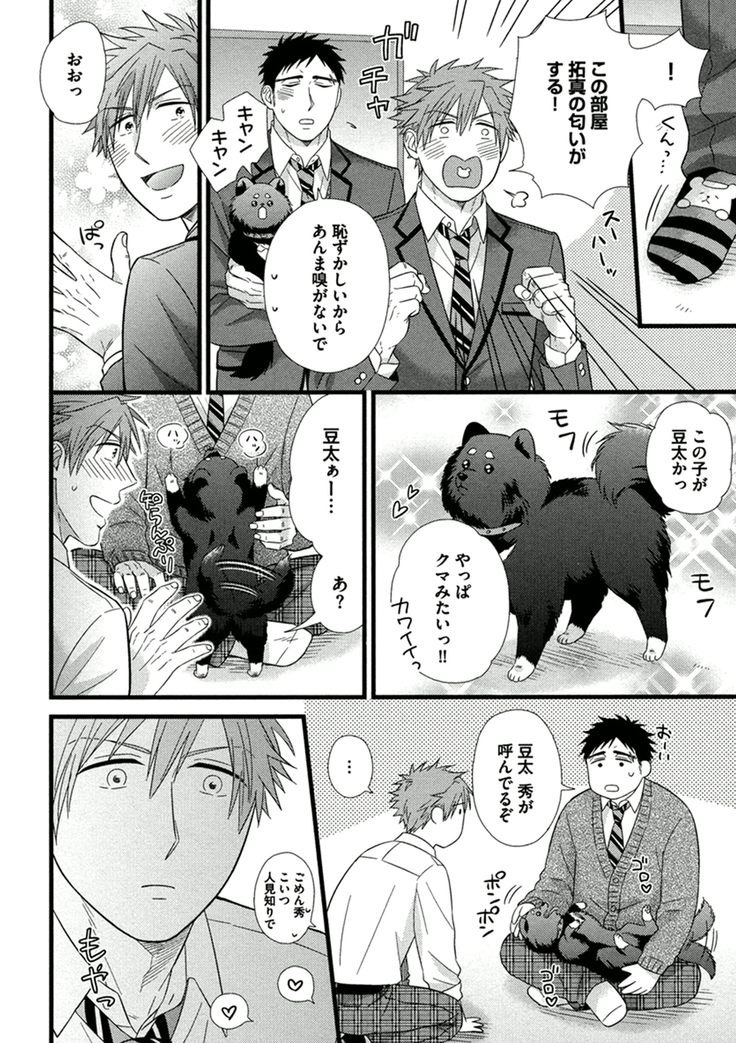 Itoshi no Love Bear - I Love Bear