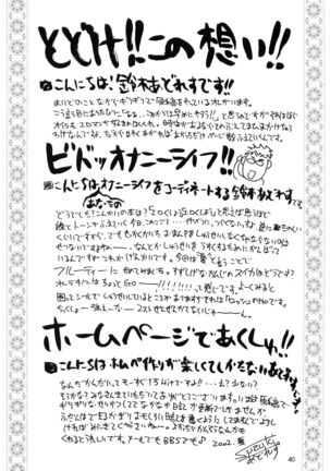 Utawaretamono Joukan ~Hidamari no Naka de~ - Page 40