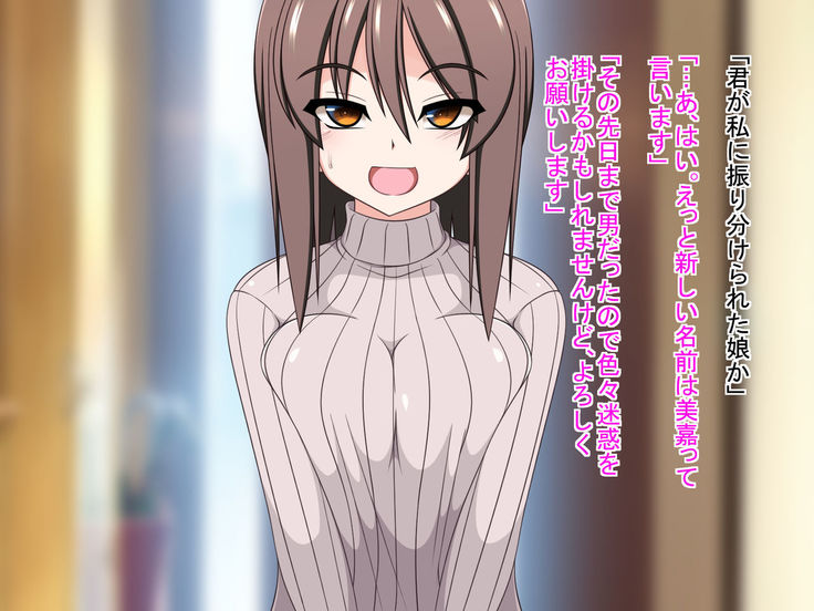 TS Houan ~Houritsu de Erabareta Otoko wa TS saserareru Hanashi~