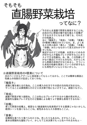 直腸野菜栽培解説本 Page #2