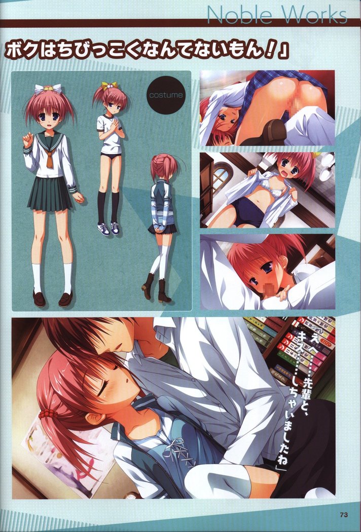 YUZUSOFT 10th Anniversary Book YUZUANI