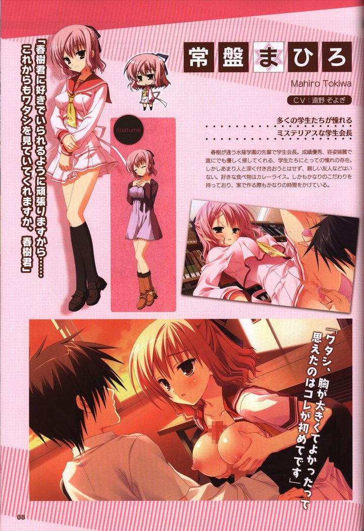 YUZUSOFT 10th Anniversary Book YUZUANI
