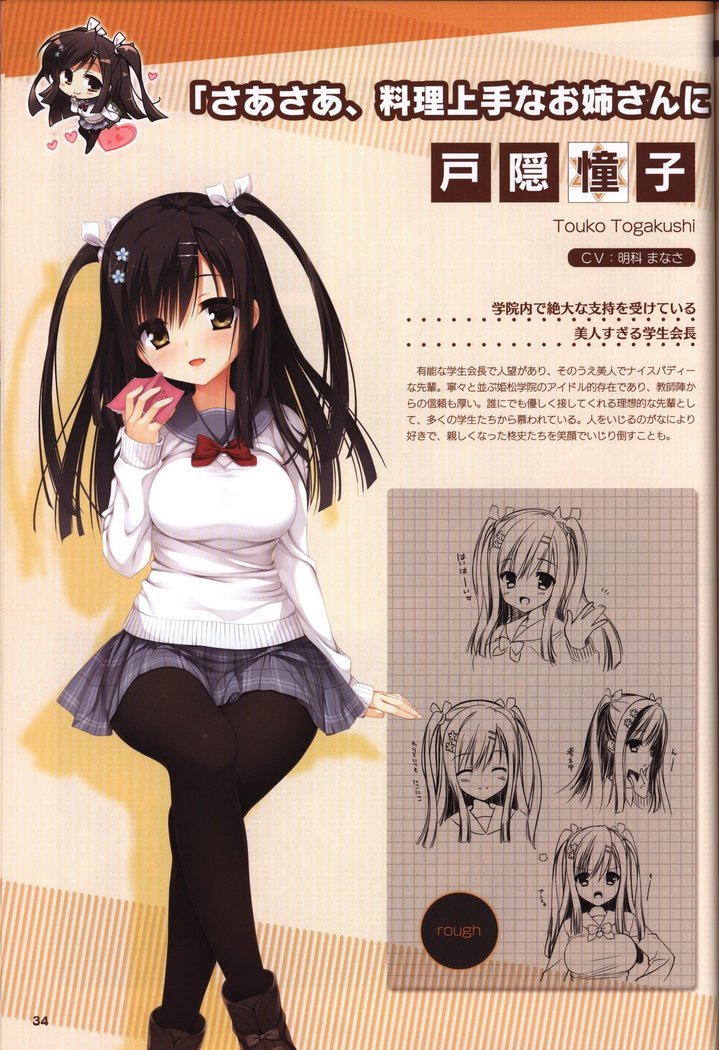 YUZUSOFT 10th Anniversary Book YUZUANI