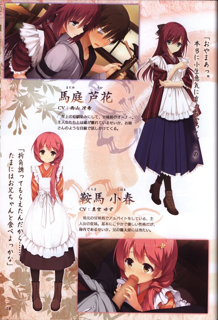 YUZUSOFT 10th Anniversary Book YUZUANI