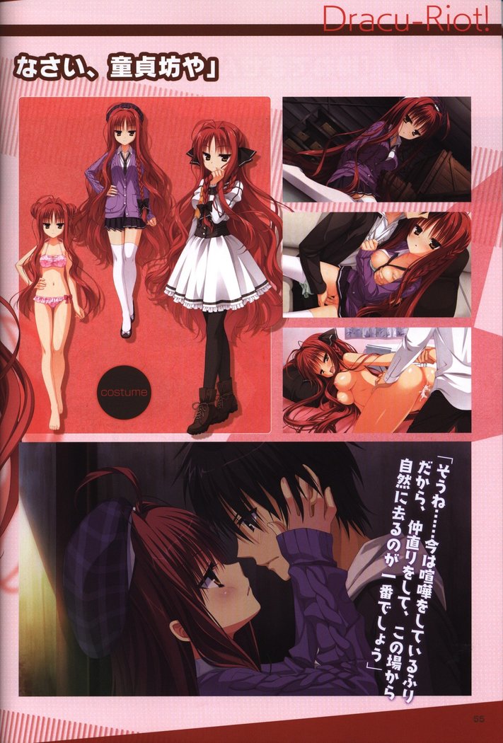 YUZUSOFT 10th Anniversary Book YUZUANI
