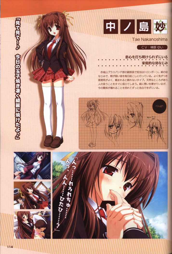 YUZUSOFT 10th Anniversary Book YUZUANI