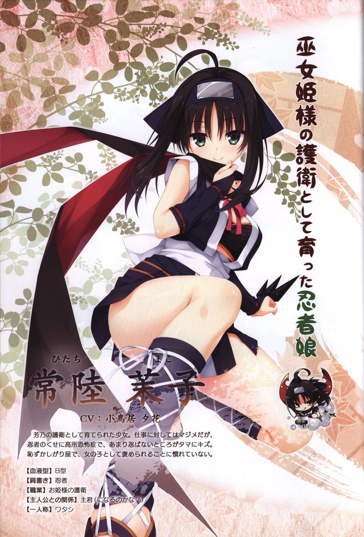 YUZUSOFT 10th Anniversary Book YUZUANI