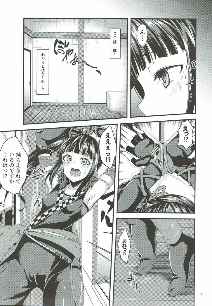 Nindol Ayame Torimono  Chou