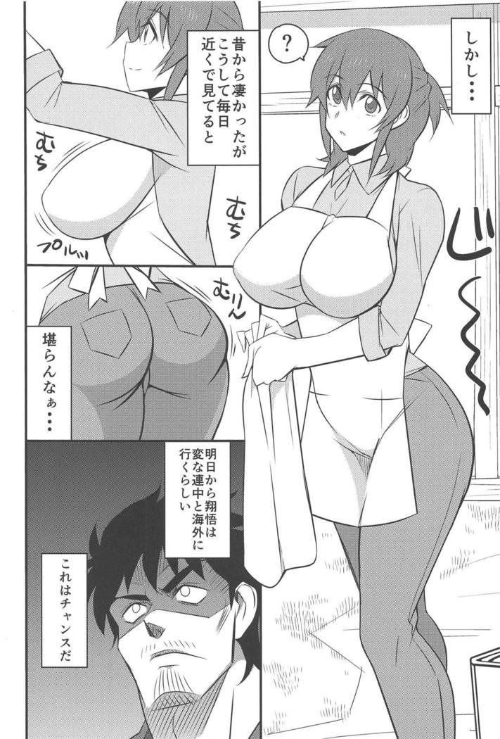 Shinyuu no Yome