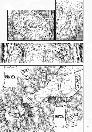 Solo Hunter no Seitai Page #29
