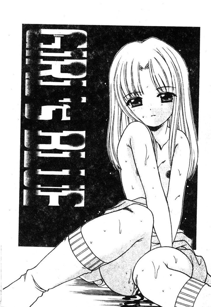 Petit Lover （chinese）