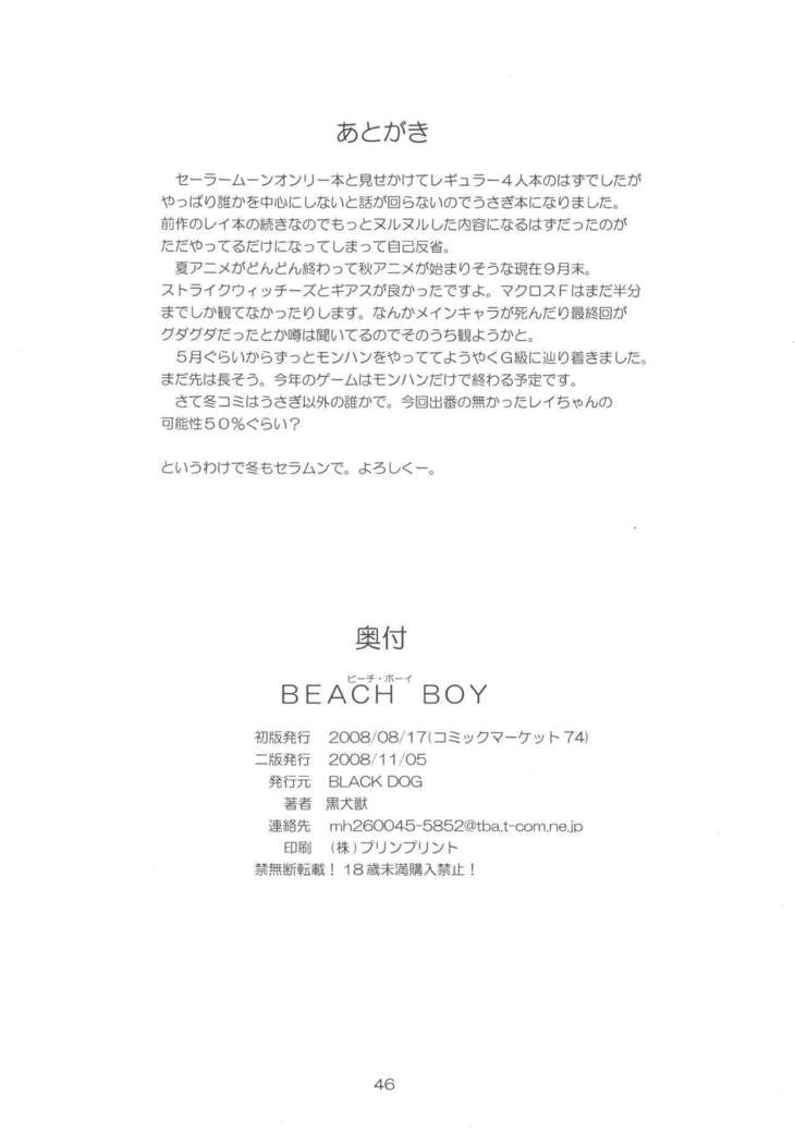 BEACH BOY