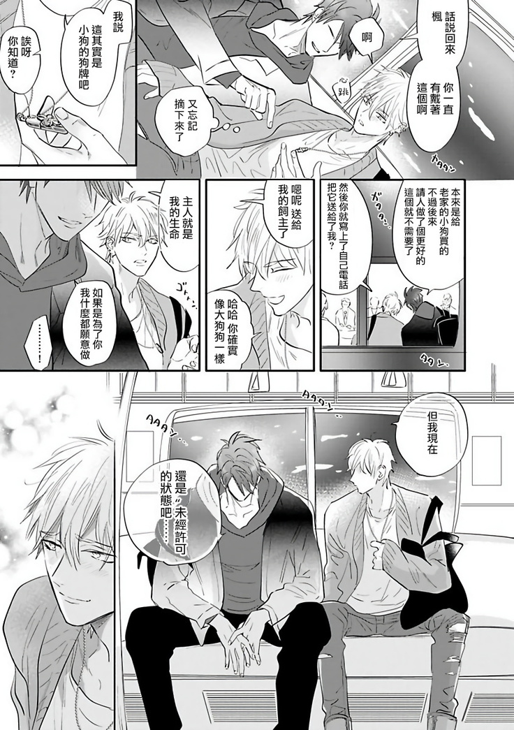 Burlesque Night | 艳舞荒诞夜 1-4