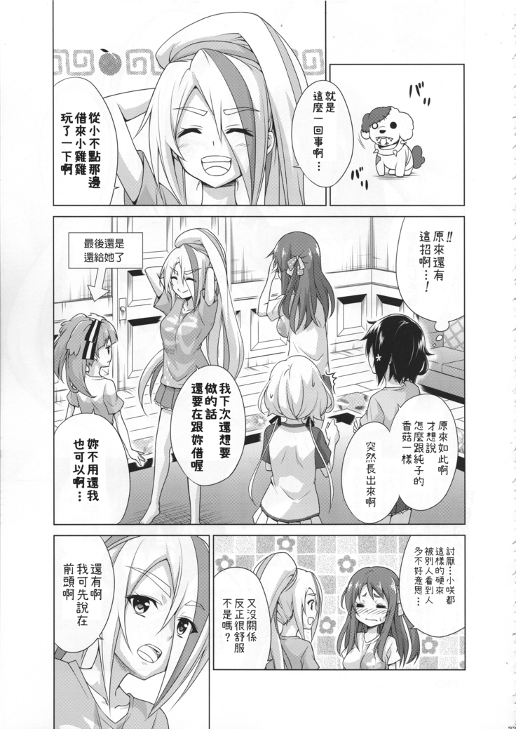 Rental Chinchin SAGA