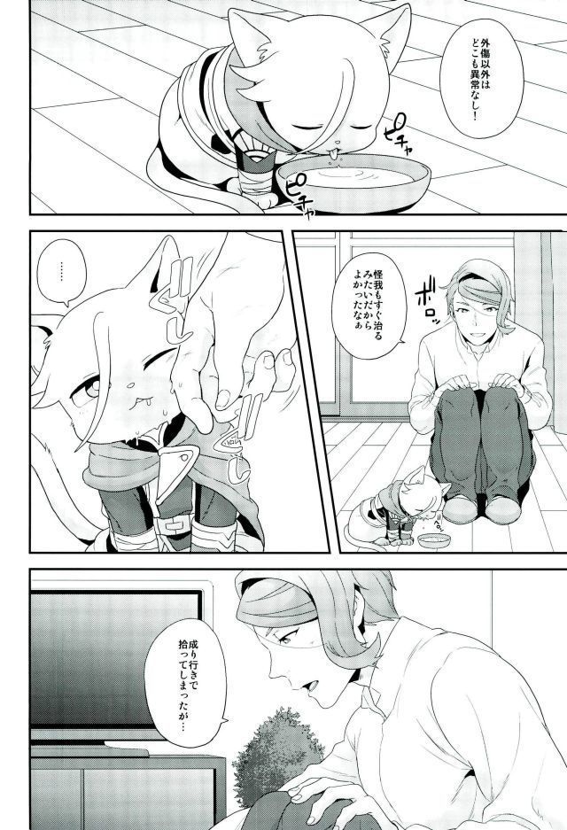 現代パロディにおけるネコのマクギリスとガエリオの可能性について
