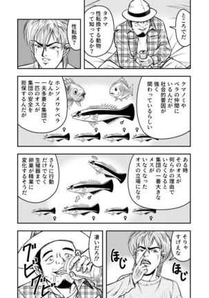 Image 9964664