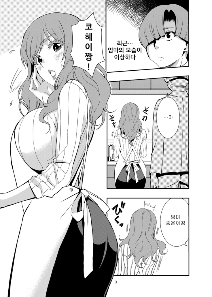 Uchi no Eroi Kaa-san wa Ijimekko no Omocha desita 저의 에로한 엄마는 불량배들의 장난감이었습니다