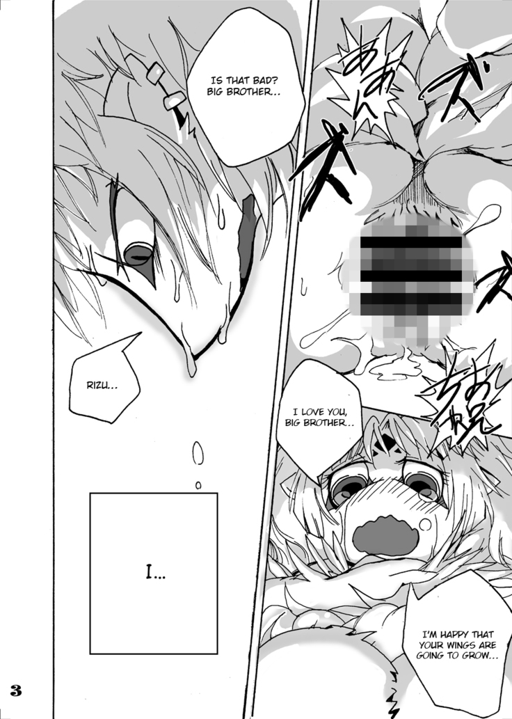 Kokoro no Tsubasa
