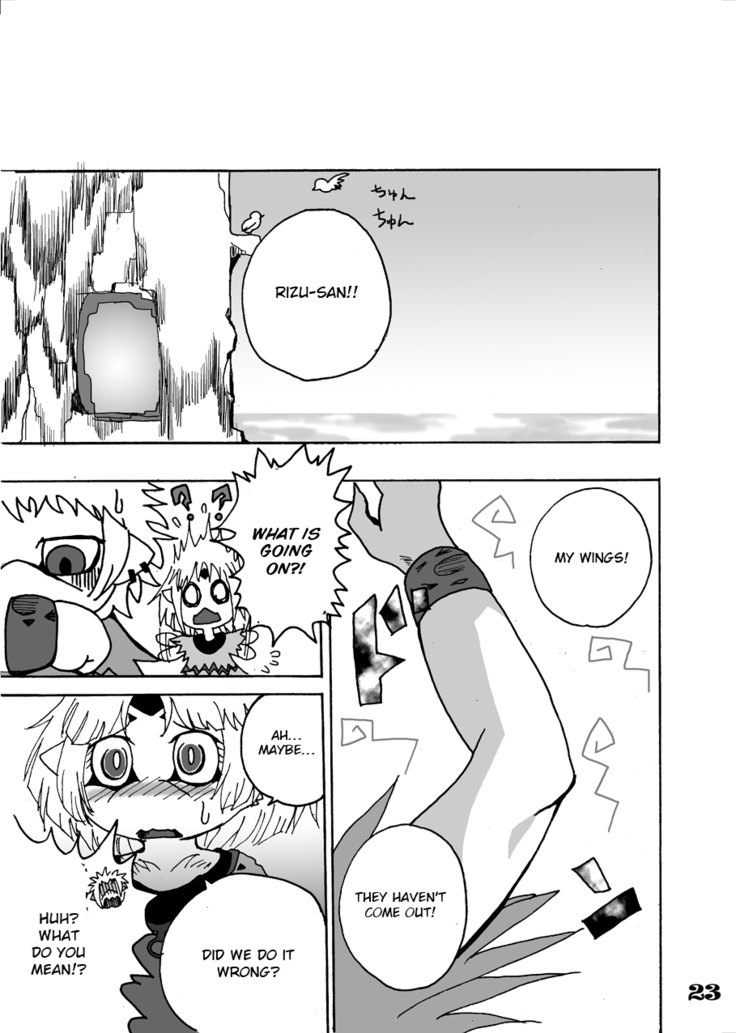 Kokoro no Tsubasa