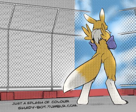 Minna no Renamon | Everyone's Renamon