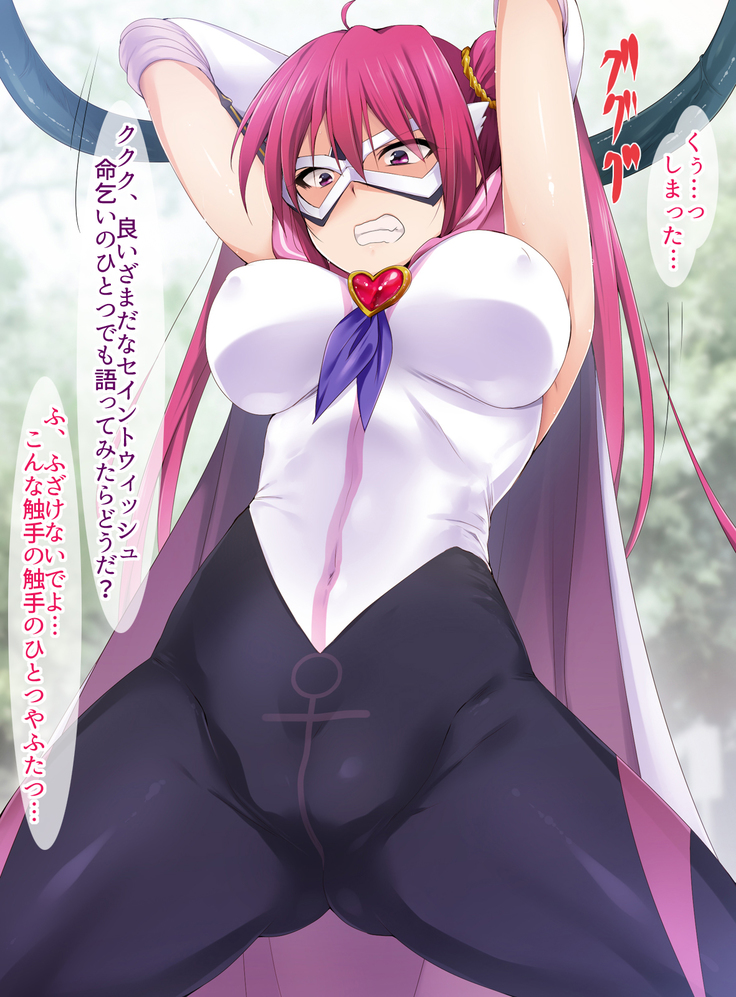 Seiai Senshi Saint Wish