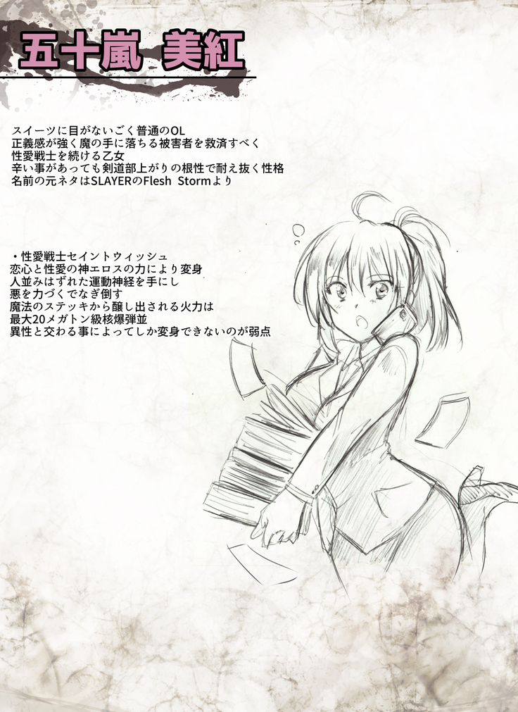 Seiai Senshi Saint Wish