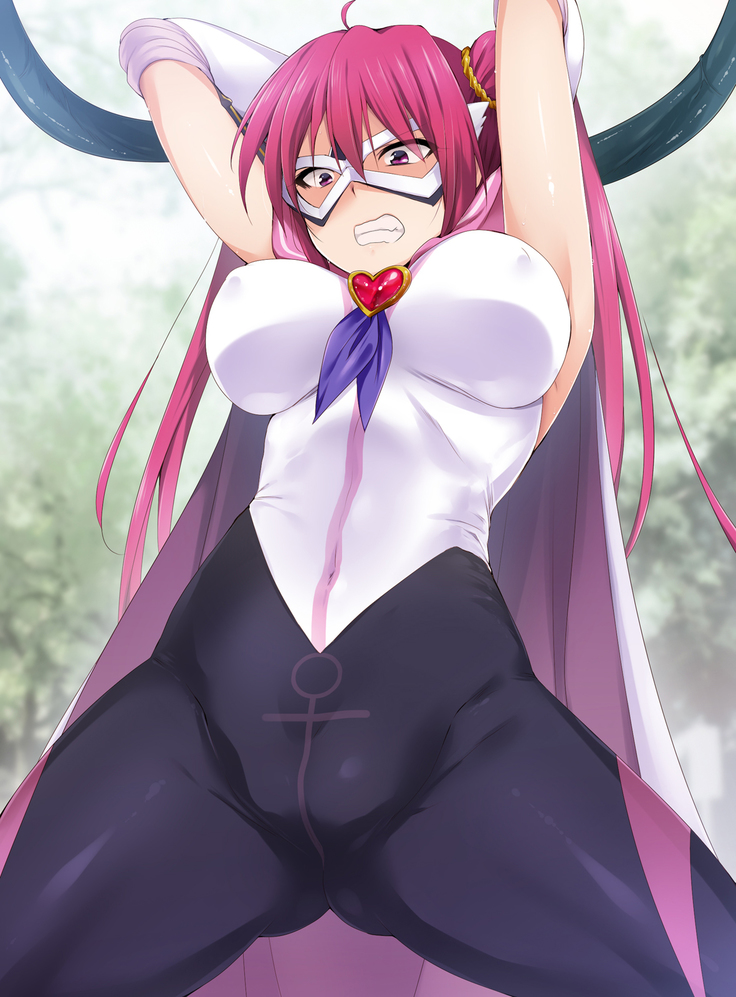 Seiai Senshi Saint Wish