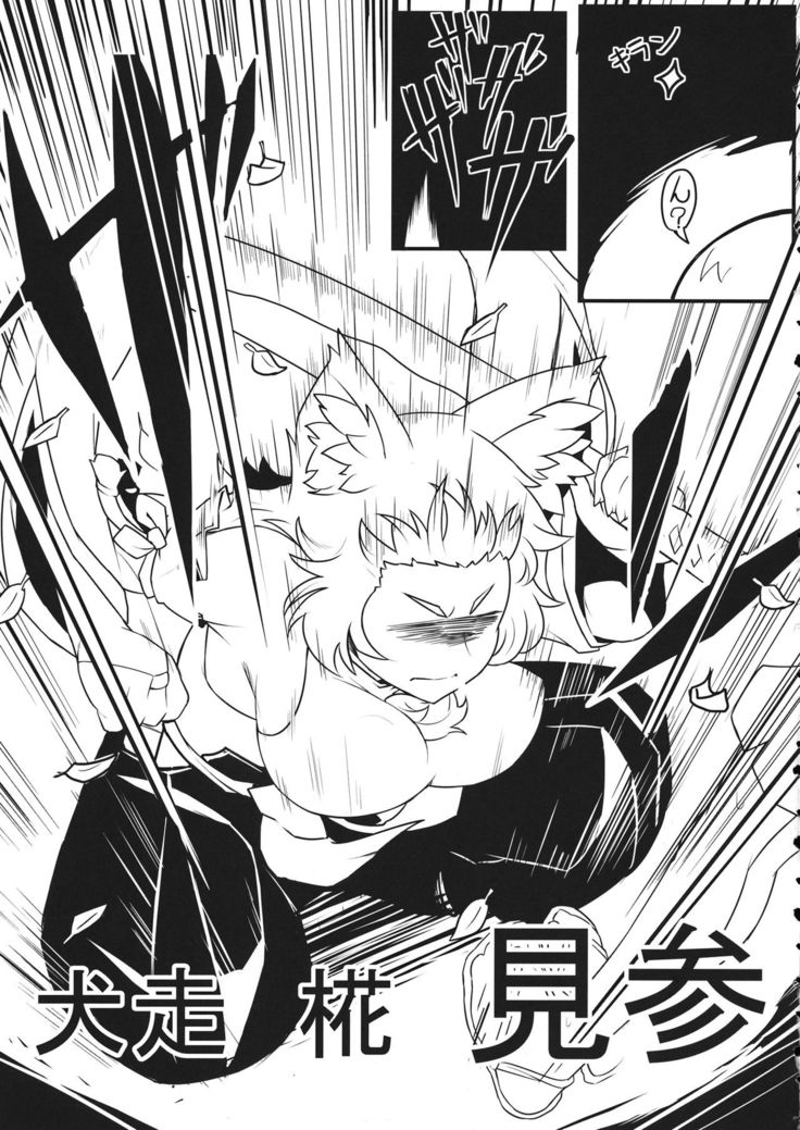 BE CAREFUL ABOUT A WOLF