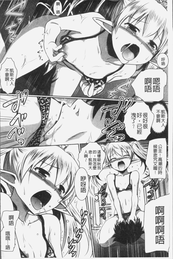 Elf no Kuni no Kyuutei Madoushi ni naretanode Himesama ni Seitekina Itazura wo shitemita THE COMIC