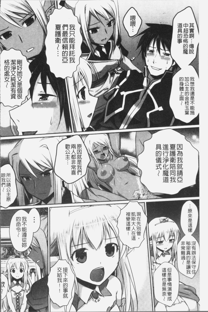 Elf no Kuni no Kyuutei Madoushi ni naretanode Himesama ni Seitekina Itazura wo shitemita THE COMIC
