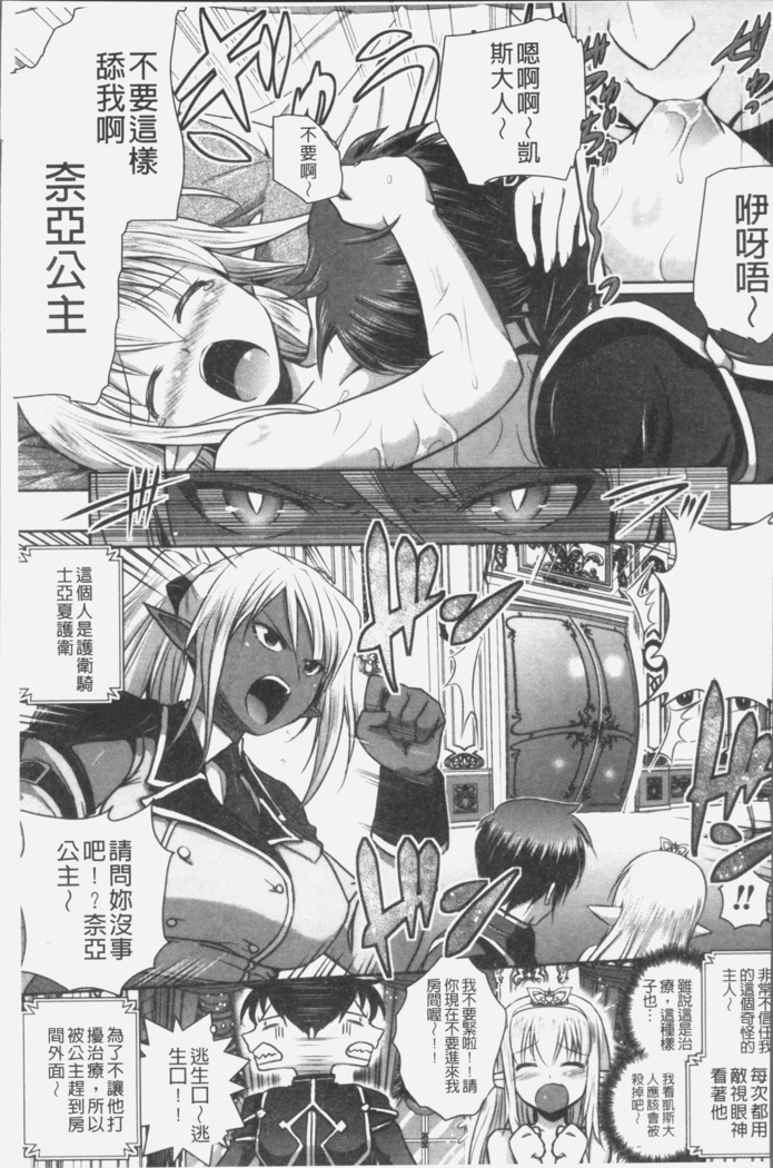 Elf no Kuni no Kyuutei Madoushi ni naretanode Himesama ni Seitekina Itazura wo shitemita THE COMIC