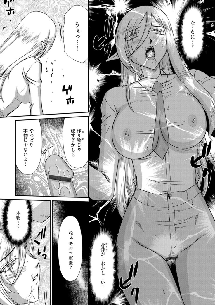 白銀姫・アンリエットの淫難 1-5