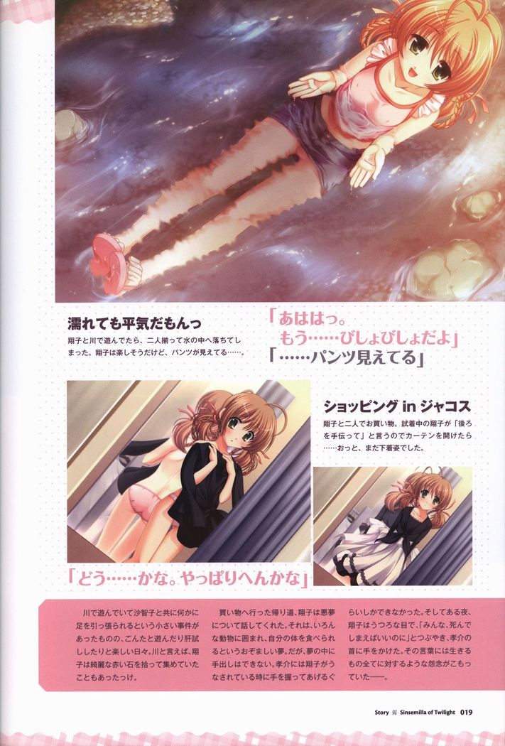 Tasogare no Sinsemilla Official Visual Fan book