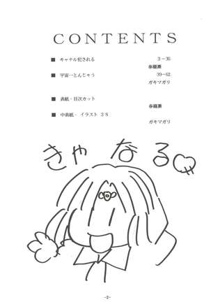 Image 4308107