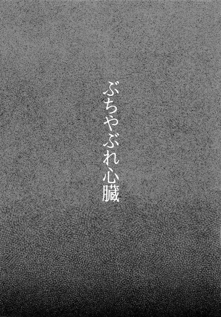 Buchi Yabure Shinzou