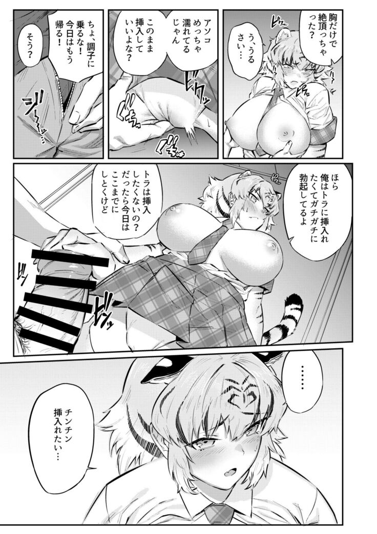 トラはふれあい修業中